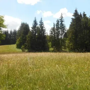 https://gite-de-la-montagne-dance-chastreix.hotels-rhonealpes.com